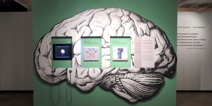 3 Gehirn